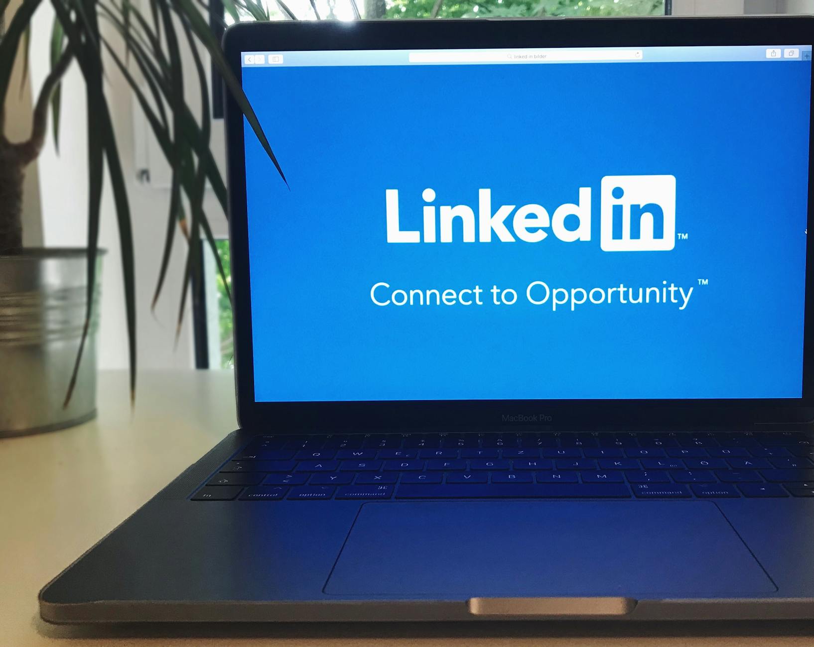 LinkedIn for Authors in 2025: A Powerful Platform or a Missed Opportunity?